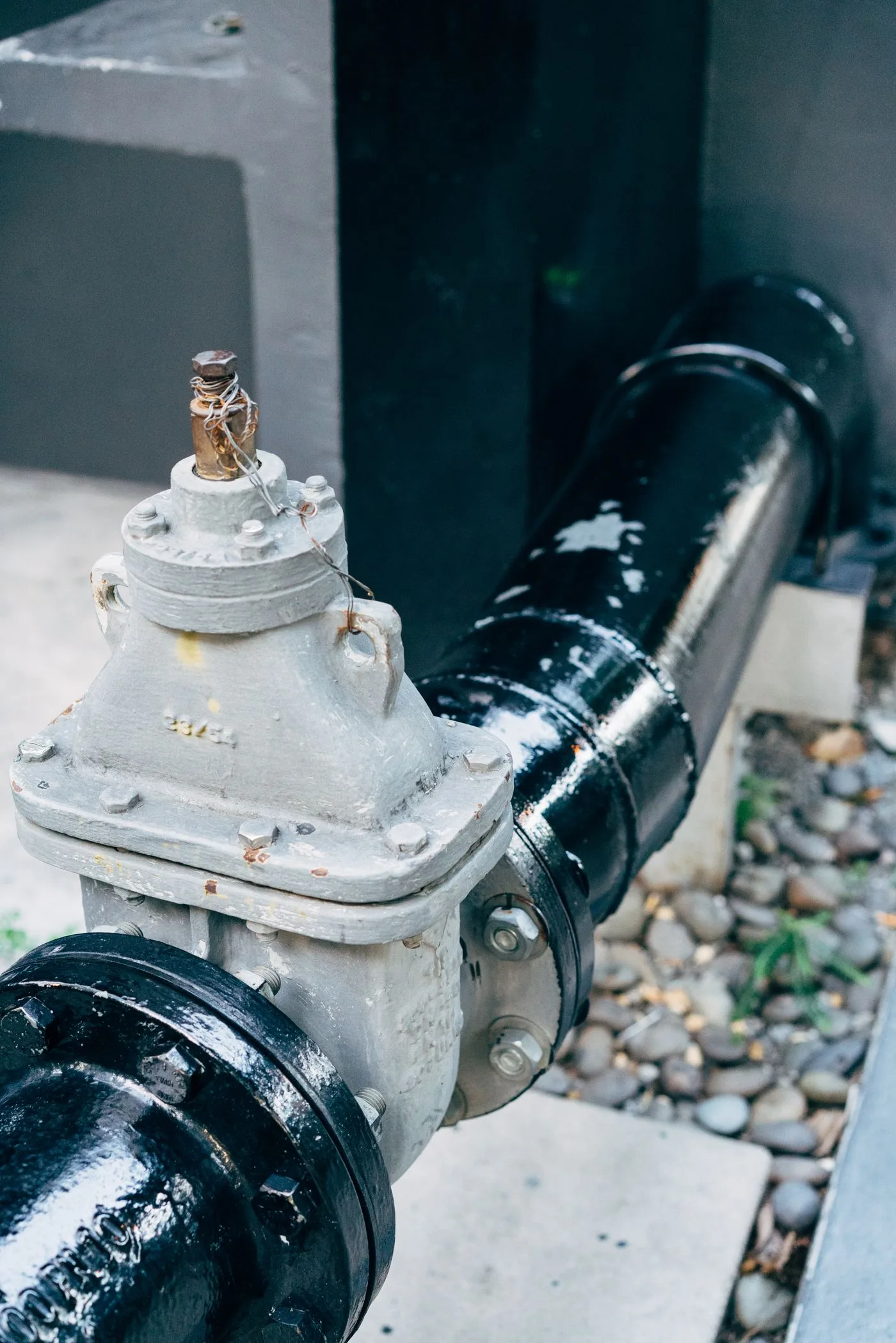 Backflow Prevention